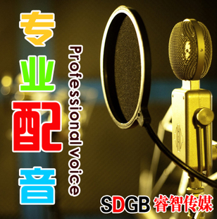 淘寶店鋪語音與廣告配音制作服務特價導購